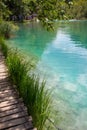 wooden footpath through Plitvice lakes national park Royalty Free Stock Photo