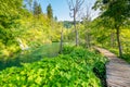 Wooden footpath at Plitvice national park, Croatia. Pathway in the forest near the lake and waterfall. Fresh beautiful nature, Royalty Free Stock Photo