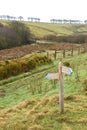 Wooden footpath sign