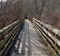 A wooden footpath in the woods in the springtime Royalty Free Stock Photo