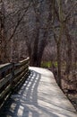 A wooden footpath in the woods in the springtime Royalty Free Stock Photo