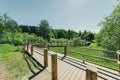 wooden footpath boardwalk in the bog swamp area