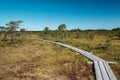 wooden footpath boardwalk in the bog swamp area