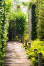 Wooden footpath to wooden chair