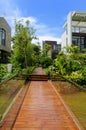 Wooden footpath through a tranquil garden