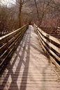 A wooden footpath in the woods in the springtime Royalty Free Stock Photo