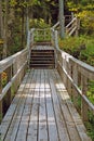 Wooden footbridges in the forest