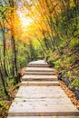 Wooden footway in colorful autumn