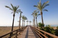 Wooden footway and palm trees in Beach of Benicassim Royalty Free Stock Photo