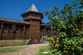 Wooden fortress wall and guelder rose