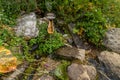 Wooden fountain on mountain Kackarlar in Turkey,Rize Royalty Free Stock Photo