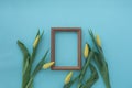 Wooden frame with yellow tulips on blue textural background. Flat lay, copy space, top view. Flowers composition Royalty Free Stock Photo