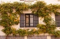 A wooden frame of a country house in the autumn leaves of wild grapes Royalty Free Stock Photo