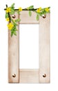 Wooden frame with the flowers and branches