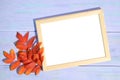 Wooden frame for photos and leaves of mountain ash. Royalty Free Stock Photo