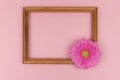 Wooden frame with pink flower gerbera on pastel pink background, copy space. Spring greeting card. Valentine`s day