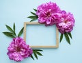 Wooden frame surrounded by beautiful pink peonies on a blue background Royalty Free Stock Photo