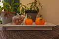 Wooden fruit bowl with couple of oranges and glass jar full of walnuts Royalty Free Stock Photo