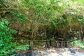 Wooden furniture table and chairs in forest in Khao Nang Phanthurat Forest Park at Cha am, Thailand. Royalty Free Stock Photo