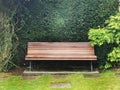 Wooden garden bench with green hedge on the background Royalty Free Stock Photo