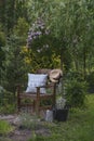 wooden garden chair with pillow and straw. Blooming Meyer lilac (Syringa meyeri 'Palibin'