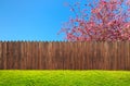 A wooden garden fence at backyard and bloom tree Royalty Free Stock Photo