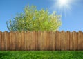 Wooden garden fence at backyard and bloom tree in spring Royalty Free Stock Photo