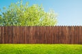 A wooden garden fence at backyard and bloom tree