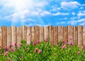 Wooden garden fence at backyard with green grass and flowers in spring Royalty Free Stock Photo