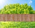 Wooden garden fence at backyard, green grass, tree and blue sky Royalty Free Stock Photo