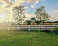 The wooden garden fence in the backyard and the trees blooming in spring Royalty Free Stock Photo