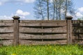 Wooden garden fence, green grass and blooming dandelion flowers on a spring day Royalty Free Stock Photo