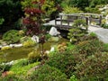 Wooden bridge in Japanese friendship garden Balboa park San Diego Royalty Free Stock Photo