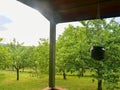 Wooden garden shed in a beautiful rural orchard. Close-up Royalty Free Stock Photo