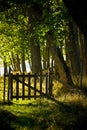 Wooden gate Royalty Free Stock Photo