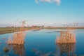 Wooden gate with marran grass in water in the countryside from Friesland in the Netherlands