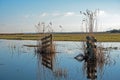 Wooden gate with marran grass in water in the countryside from Friesland in the Netherlands