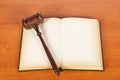 Wooden gavel and law book Royalty Free Stock Photo