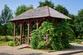 Wooden gazebo in backyard or in summer garden. Pergola entwined with vine leaves Royalty Free Stock Photo