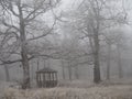 Wooden gazebo in the forest late autumn in the fog all the trees and grass are covered with frost Royalty Free Stock Photo