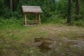 wooden gazebo standing deep in the forest