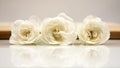 Wooden geometrical pieces with white roses