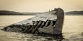 Wooden Graveyard Coast Shipwreck On Lake Superior Coast