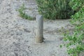 Wooden gray pillar stands in the sand Royalty Free Stock Photo