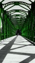 wooden green bridge