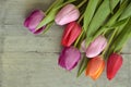 Wooden grey empty copy space background with colorful tulips Royalty Free Stock Photo