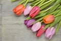 Wooden grey empty copy space background with pink tulips Royalty Free Stock Photo