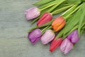 Wooden grey empty copy space background with pink tulips Royalty Free Stock Photo