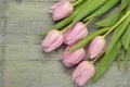 Wooden grey empty copy space background with pink tulips Royalty Free Stock Photo