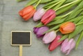 Wooden grey empty copy space background with pink tulips Royalty Free Stock Photo